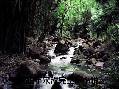 贺柏年宋汐小说免费阅读-热点小说榜单推荐贺柏年宋汐