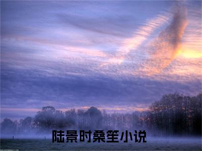 美文陆景时桑笙大结局小说-小说（陆景时桑笙）免费分享