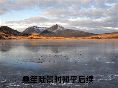 桑笙陆景时（桑笙陆景时）小说全文免费阅读正版无弹窗，桑笙陆景时免费阅读