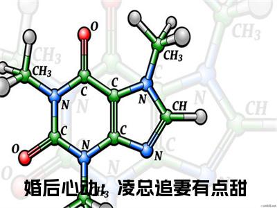 婚后心动：凌总追妻有点甜小说热门榜单免费阅读，苏熙凌久泽抖音新上热文分享_笔趣阁（婚后心动：凌总追妻有点甜）