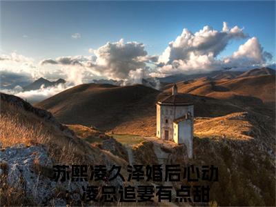 婚后心动：凌总追妻有点甜（苏熙凌久泽）全文免费阅读无弹窗大结局_婚后心动：凌总追妻有点甜苏熙凌久泽最新章节列表_笔趣阁