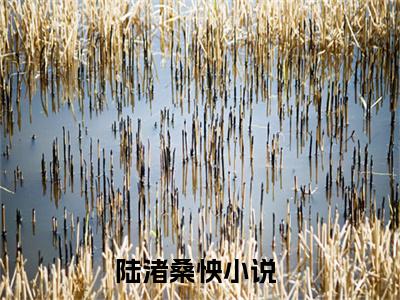 陆渚桑怏（陆渚桑怏）全文免费阅读无弹窗大结局_（陆渚桑怏）陆渚桑怏最新章节列表_笔趣阁