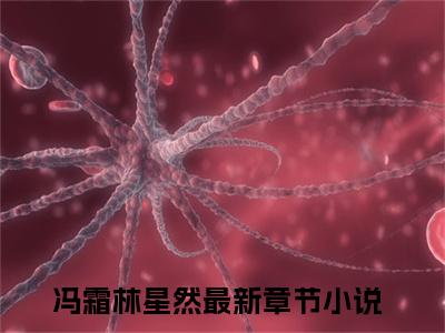 冯霜林星然小说完整版全文在线赏析-完结版小说（冯霜林星然）
