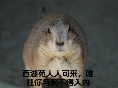 陆羡时凌千羽（西湖苑人人可来，唯独你与狗不得入内全章节完整版）免费阅读_（西湖苑人人可来，唯独你与狗不得入内）陆羡时凌千羽全文无删减免费阅读
