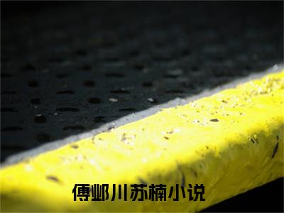 傅邺川苏楠小说（傅邺川苏楠）全文免费阅读无弹窗大结局_傅邺川苏楠（傅邺川苏楠）最新章节列表-笔趣阁（傅邺川苏楠）