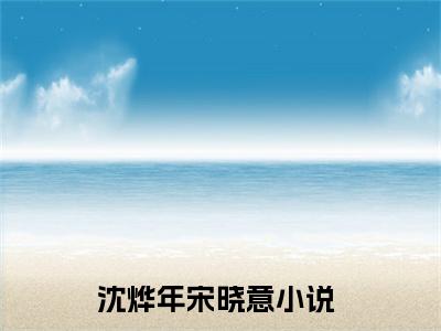 沈烨年宋晓意（沈烨年宋晓意）全文免费阅读无弹窗大结局_沈烨年宋晓意免费阅读无弹窗