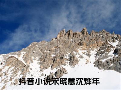 宋晓意沈烨年在线阅读（宋晓意沈烨年）全文免费阅读无弹窗大结局_宋晓意沈烨年免费最新章节列表_笔趣阁