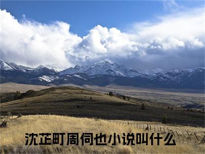沈芷町周伺也人气小说全本免费阅读