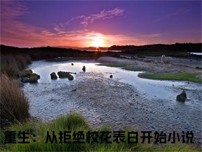 重生：从拒绝校花表白开始（叶轩萧南栀）全文免费阅读无弹窗大结局_叶轩萧南栀（重生：从拒绝校花表白开始无弹窗）_笔趣阁