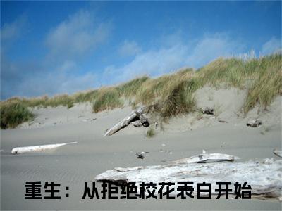 叶轩萧南栀（重生：从拒绝校花表白开始）小红书热荐小说-叶轩萧南栀女生爱看的小说全集资源