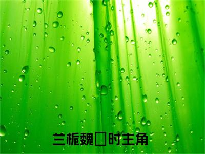 兰栀魏璟时（兰栀魏璟时）全文免费阅读无弹窗大结局-兰栀魏璟时最新章节列表免费阅读