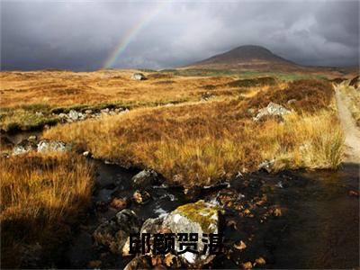 邱颜贺湛全文免费在线阅读-邱颜贺湛小说全文免费阅读无弹窗大结局