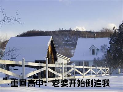 重回高中：老婆开始倒追我全文免费阅读无弹窗大结局_乐恩贝林皓章节列表_笔趣阁