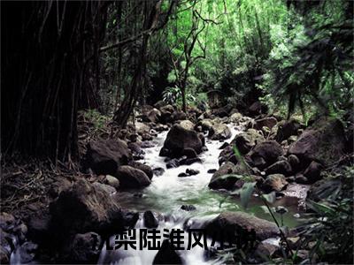 沈梨陆淮风小说免费下载（沈梨陆淮风完整全集已完结大结局小说）_沈梨陆淮风免费阅读