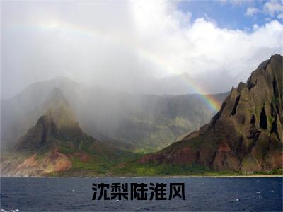 沈梨陆淮风全文（沈梨陆淮风小说）全文免费阅读无弹窗大结局_沈梨陆淮风免费最新章节列表_笔趣阁（沈梨陆淮风小说）