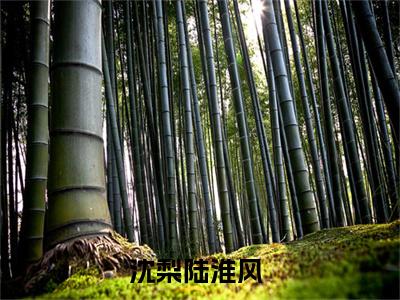 沈梨陆淮风全文免费阅读无弹窗大结局_（沈梨陆淮风无弹窗）沈梨陆淮风全文阅读最新章节列表笔趣阁