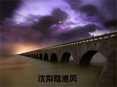 沈梨陆淮风小说全文免费阅读-沈梨陆淮风最新小说全文阅读