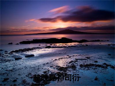 林晚夏祁司衍（林晚夏祁司衍）最后结局如何-2023最火热点小说林晚夏祁司衍最新更新