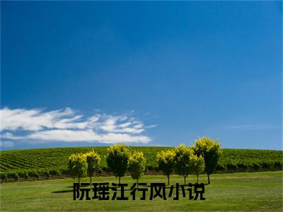 阮瑶江行风小说全文免费阅读无弹窗-正版小说全文阅读