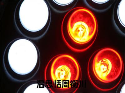 2023年爆款小说《温思恬周衡川》主角温思恬周衡川全文在线完本阅读