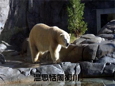 温思恬周衡川（温思恬周衡川小说）全文免费阅读无弹窗大结局_(温思恬周衡川小说免费阅读)温思恬周衡川最新章节列表