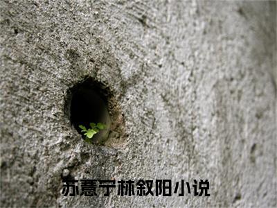 苏薏宁林叙阳（苏薏宁林叙阳)小说免费阅读在线阅读_苏薏宁林叙阳全文免费阅读_笔趣阁