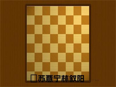 苏薏宁林叙阳全文免费阅读无弹窗大结局_(苏薏宁林叙阳阅读全文大结局)苏薏宁林叙阳最新章节列表（苏薏宁林叙阳）