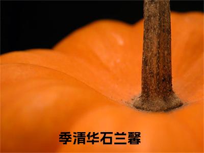季清华石兰馨小说全文免费阅读（重生末世）全文免费重生末世读无弹窗大结局季清华石兰馨