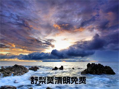 舒梨莫清朗(舒梨莫清朗)全文免费阅读无弹窗大结局_舒梨莫清朗小说（舒梨莫清朗）最新章节列表笔趣阁（舒梨莫清朗）