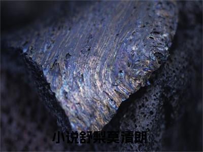 全网热搜（舒梨莫清朗）是什么小说,舒梨莫清朗免费阅读无弹窗