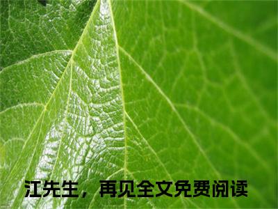 （闻依江墨沉）全文免费阅读无弹窗大结局_（江先生，再见）章节列表_笔趣阁