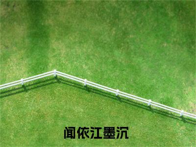江先生，再见全文免费在线阅读_（江先生，再见免费阅读无弹窗）闻依江墨沉全文免费完结版阅读（江先生，再见）