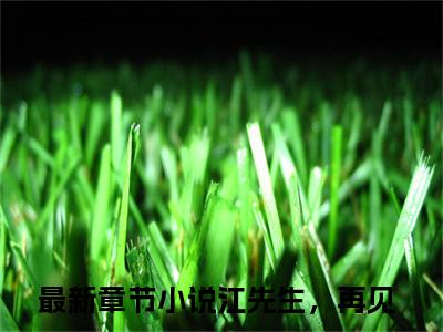 江先生，再见小说在哪里可以看闻依江墨沉-小说《闻依江墨沉》江先生，再见免费阅读