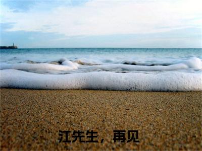 江先生，再见（闻依江墨沉）热门小说最新章节阅读-（江先生，再见）闻依江墨沉全文免费阅读
