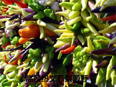 苏梨顾野小说全文免费阅读正版 苏梨顾野免费阅读无弹窗