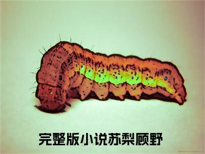 苏梨顾野新上热文小说讲的是什么-苏梨顾野全文完整版免费阅读