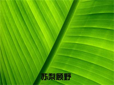 苏梨顾野全文阅读-苏梨顾野小说免费阅读大结局