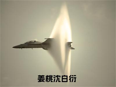 姜桃沈白衍（姜桃沈白衍）全文免费阅读（姜桃沈白衍）小说无弹窗阅读