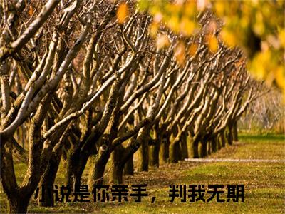 是你亲手，判我无期（沈初凝宋时宴）新上热文免费阅读-是你亲手，判我无期（沈初凝宋时宴）无广告在线阅读