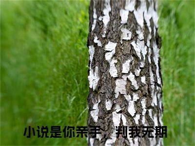 沈初凝宋时宴最新章节（是你亲手，判我无期）全文免费阅读无弹窗大结局_沈初凝宋时宴免费阅读（是你亲手，判我无期）