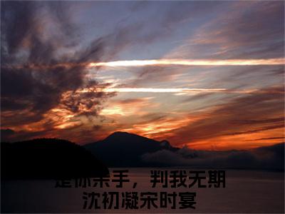 是你亲手，判我无期免费阅读-（是你亲手，判我无期）全文免费阅读无弹窗大结局（沈初凝宋时宴）最新章节列表_笔趣阁