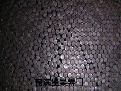 褚满星吴霁焜小说（褚满星吴霁焜）全文免费阅读无弹窗大结局_褚满星吴霁焜最新章节列表_