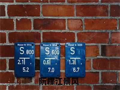阮檬江景风（阮檬江景风）全文免费大结局，阮檬江景风结局在线阅读