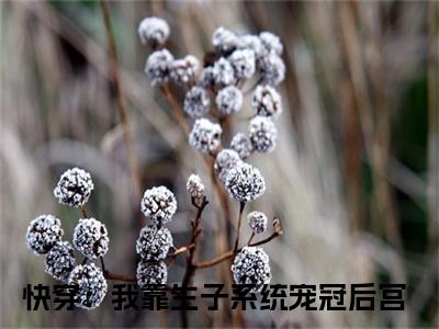 快穿：我靠生子系统宠冠后宫（宋青宁陆奕）精选好书-宋青宁陆奕无删减版在线阅读（宋青宁陆奕全文免费阅读）