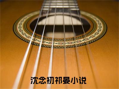 沈念初祁晏（沈念初祁晏）全文免费阅读无弹窗大结局_沈念初祁晏免费最新章节列表_笔趣阁
