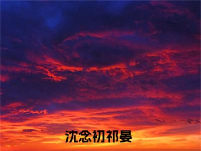 沈念初祁晏（沈念初祁晏）全文免费阅读无弹窗大结局-沈念初祁晏最新章节列表免费阅读