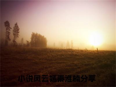 凤云嫣秦淮楠（凤云嫣秦淮楠）小说全文免费阅读无弹窗_（凤云嫣秦淮楠）凤云嫣秦淮楠小说全文免费阅读最新章节列表笔趣阁（凤云嫣秦淮楠）