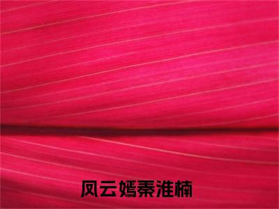 凤云嫣秦淮楠（凤云嫣秦淮楠）全文免费阅读无弹窗大结局_(凤云嫣秦淮楠免费阅读)凤云嫣秦淮楠最新章节列表_笔趣阁