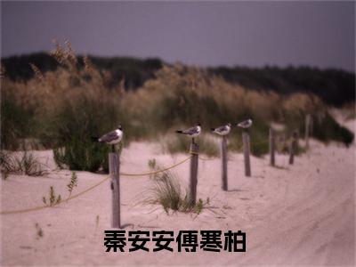 秦安安傅寒柏（秦安安傅寒柏）全文免费阅读无弹窗大结局_秦安安傅寒柏全文免费阅读（秦安安傅寒柏）最新章节列表_笔趣阁（秦安安傅寒柏）