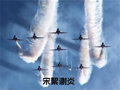 宋絮谢炎（宋絮谢炎）在哪免费看-小说(宋絮谢炎)全文完整版免费阅读